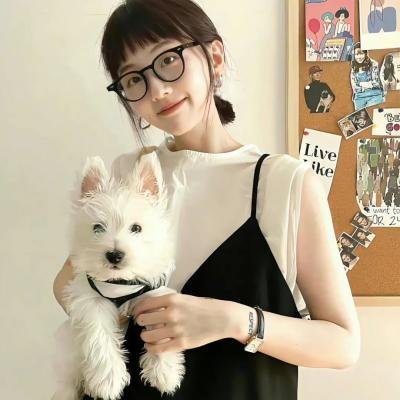 新同居关系粤语